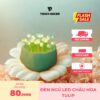 Đèn ngủ LED chậu hoa Tulip tự làm đơn giản, dễ thương