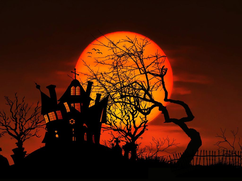 Halloween là lễ hội gì