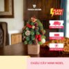 Chậu cây mini Noel